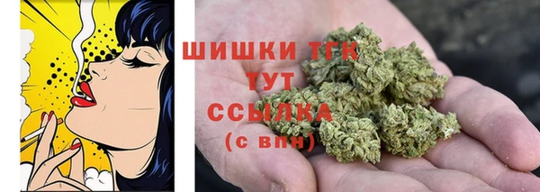 сатива Протвино