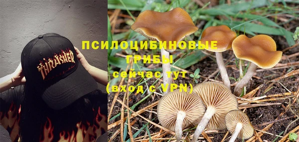 экстази Приозерск