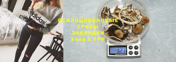 сатива Протвино