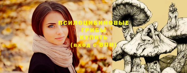 каннабис Пролетарск