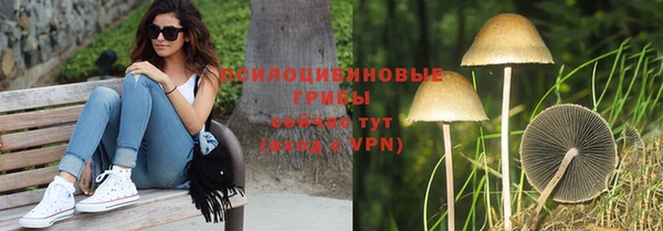сатива Протвино