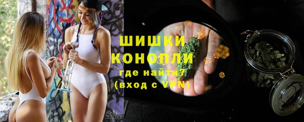 сатива Протвино