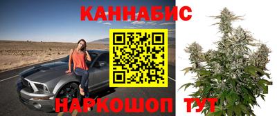 не бодяженный Камышлов