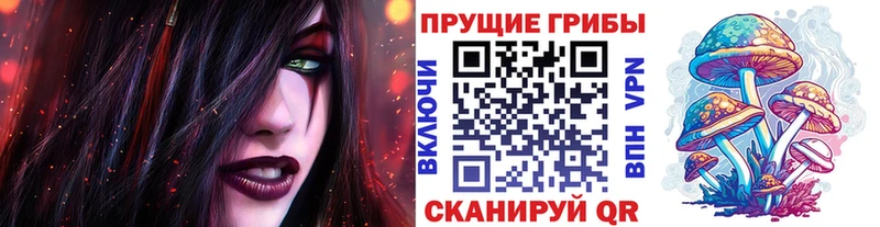 Галлюциногенные грибы Psilocybe  кракен ONION  Благовещенск 
