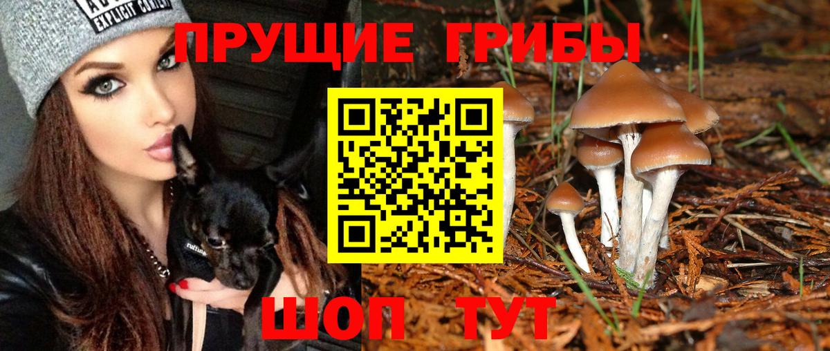 Псилоцибиновые грибы мухоморы Благовещенск