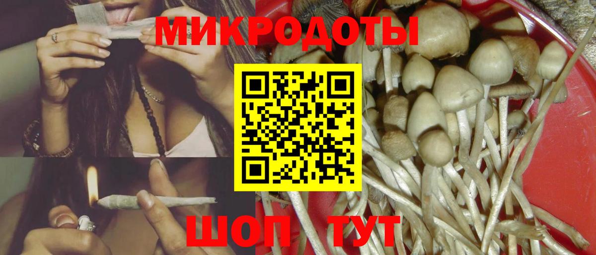 Благовещенск  Псилоцибиновые грибы Magic Shrooms  Вход с VPN  Псилоцибиновые грибы GOLDEN TEACHER 